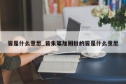 皆是什么意思_皆朱笔加圈批的皆是什么意思
