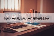 沈阳八一公园_沈阳八一公园的暗号是什么