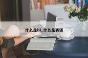 什么是bi_什么是表语